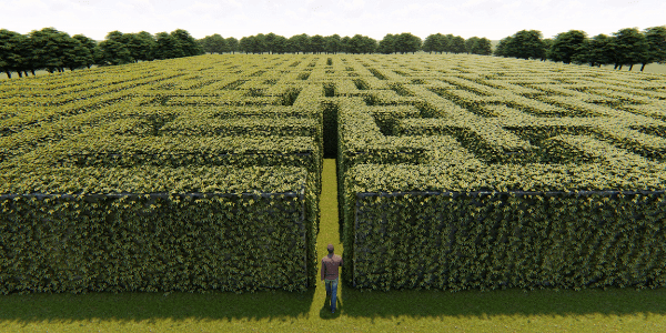 person standing at the entrance to a maze